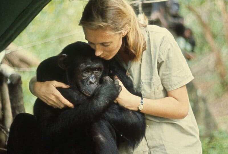 Jane Goodall